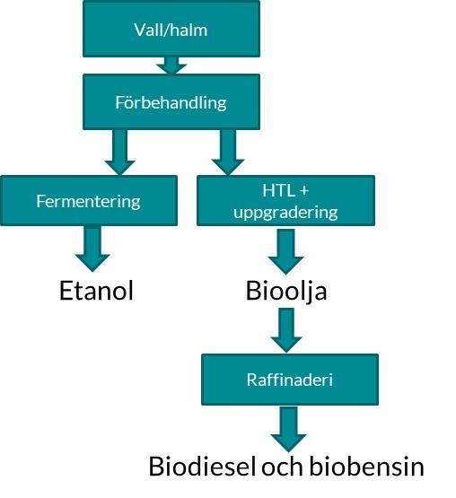 HTL-projektet : Biodrivmedel från jordbrukets sidoströmmar Framtagning av bioolja (Processum och Lantmännen) Uppgradering
