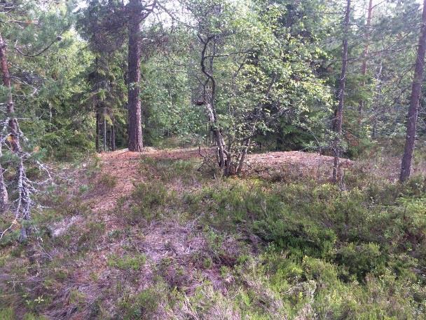 4.19 ÅF Obj 29 Skog och träd Barrskog Naturvärdesklass 4: visst naturvärde ÅF Obj 29 Mindre område med berghällar,