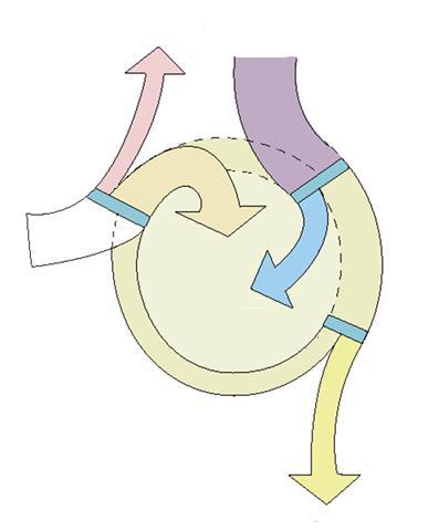 Flödesdiagram Kväve som förloras i växtodlingen Kväve som förs in i djurhållningen i form av foder Växtodlingsbalans Stallbalans Kväve som förs in i växtodlingen Kväve som säljs med produkter från