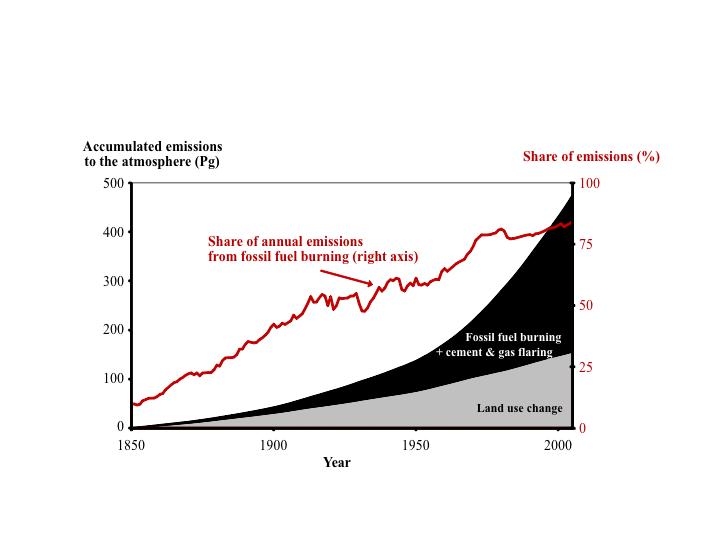 Leder ökad produktion av biomassa för energi och material till