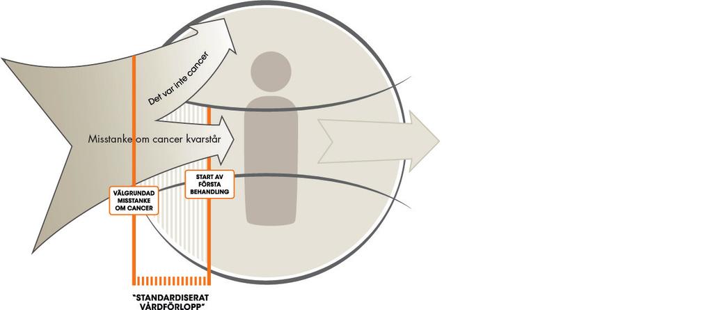 Figur 2. Illustration av det standardiserade vårdförloppet.