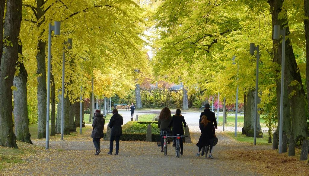 Lessebo kommun, som hade en liten minskning. De två andra åldersgrupper som ökade kraftigt var 5-14 år samt 75-84 år.