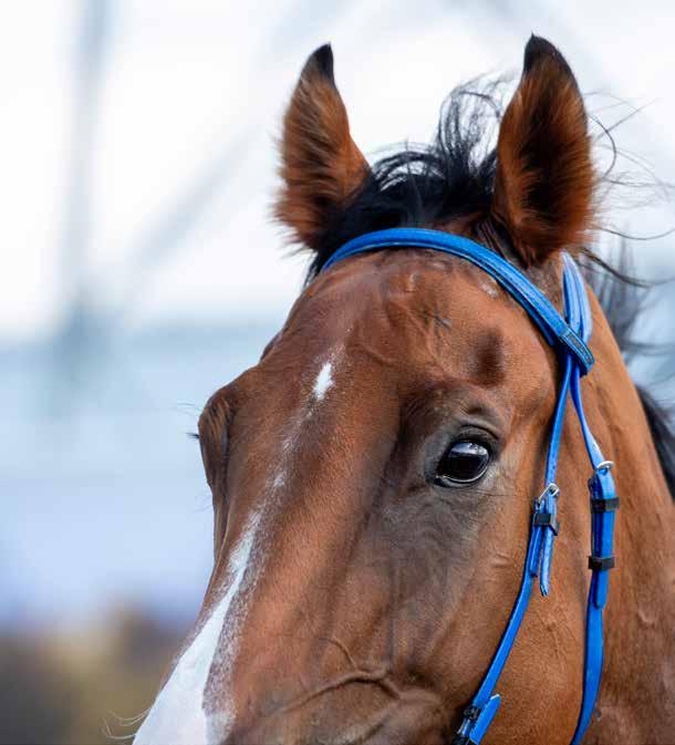 NR 26 ONSDAG 2 OKTOBER 2019 KLOCKAN 12.