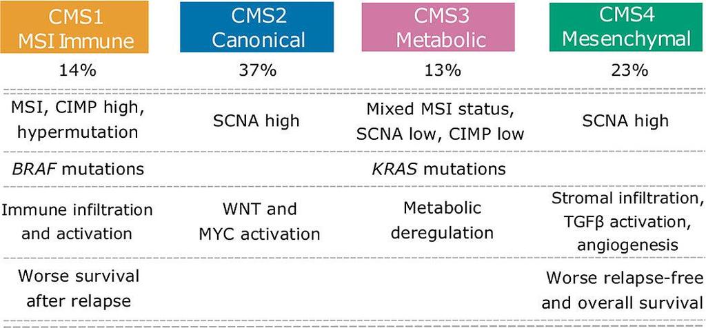 Future Perspecitves 87 BRAF mutation, right-sided colon location and an anti-tumor immune environment.