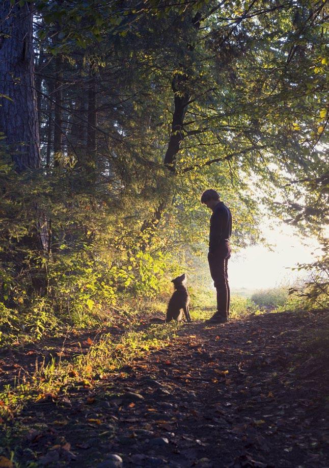 VÄSTERBOTTENS LAPPMARK 32 ÅNGERMANLAND 37 ÖVRE NORRBOTTEN 38 IN MEMORIAM- ESKO