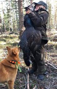 dikeskanten och Tania drog iväg efter flyende fågel som efter 400 meter resulterade i ett ståndskall.