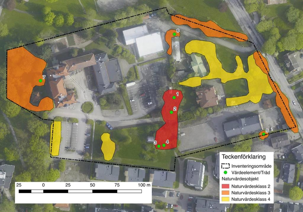 Tabell 2. Värdeelement - biologiskt särskilt värdefulla träd. Se även figur 3 nedan. Nummer Trädslag Särskilda värdeaspekter Övrigt 1 Ek Gammalt träd, mkt grov, grov bark, mulm.