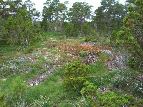 Naturvårdsutlåtande BILAGA