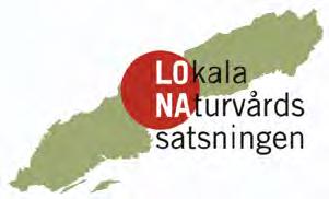 INVENTERING AV STORMUSSLOR I HÖGVADSÅN, VÄSTRA GÖTALANDS LÄN