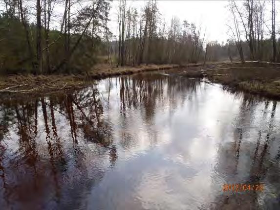 Lokalnamn: Sträcka 7, kanal från utflödet av Lilla Nabbasjön. Naturvärdesbedömning: Klass 3 naturvärde lokalt värdefull miljö. Musselarter: Inga musslor.