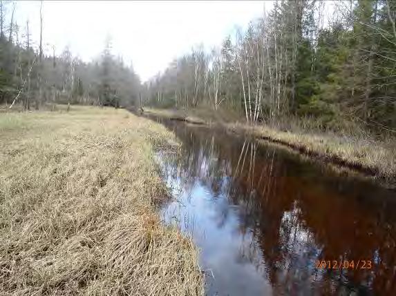 Inventeringsdatum: 2012-04-23 Koordinater: 6355119:1323795 6355413:1323847 Längd: 305 m Undersökt område: Från inflödet i Lilla Nabbasjön till kanalens slut Omgivning: Blandbarrskog, sankmark