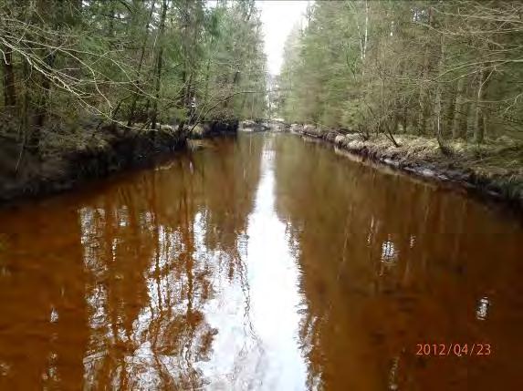 Undersökt område: Från kanalen till bron vid Lilla skog, Berget Omgivning: Blandbarrskog, kalhygge, öppen mark Närområde: Granskog 3, betesmark 2