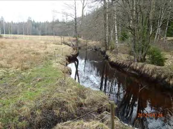 Bredd: 7 m Djup: 0, 7 m Undersökt område: Från bron till dike vid åkrök. Omgivning: Höger sida barrskog.