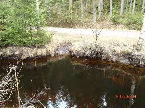 Bäck nr 9 rinner in på åns vänstra sida och för med sig sediment nedströms samt att ett dike från vägen kommer in på högersida.