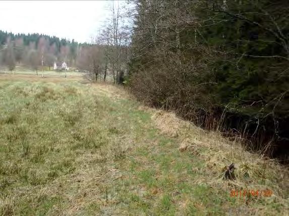 Djup: 0, 65m Undersökt område: Från dike (krök) till bäck (10) utflöde Omgivning: Höger sida granskog, vänster sida första