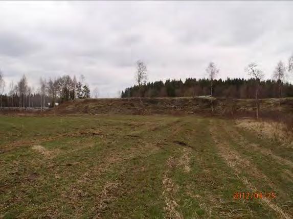 Vänstersida öppen mark med gles lövridå.