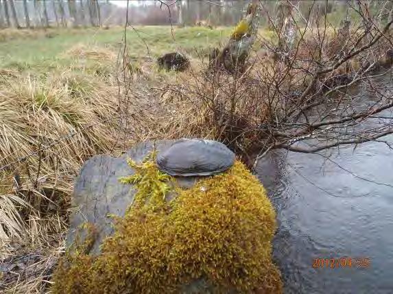 sten. Meandring och återställning till ett mera naturligt vattendrag. Kantzoner utmed vattendraget skapas.