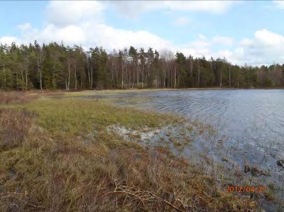 Inventeringsdatum: 2012-04-28 Koordinater: 6358539:1324790 6358856:1324874 Längd: 300 m Undersökt område: Från utflödet Gumperedshölj till inflödet. Omgivning: Granblandskog, kalhygge, öppen mark.