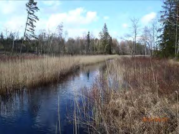 Bron vid Hallongens utflöde saknar utterpassage. Lokalnamn: Sträcka 20, Stora Hallongen.