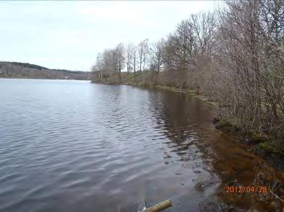 Lokalnamn: Sträcka 21, Ned Lilla Hallongen. Naturvärdesbedömning: Klass 3 naturvärde lokalt värdefull miljö. Musselarter: Inga musslor hittades.