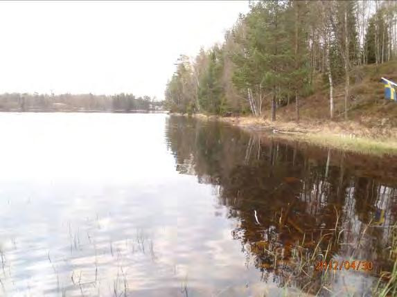 Omgivning: Granblandskog med gles bebyggelse.