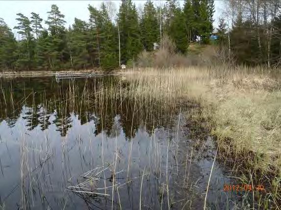 Lom, sångsvan, ormvråk, knipa Övrigt: Näringsfattig långsträckt sjö som borde