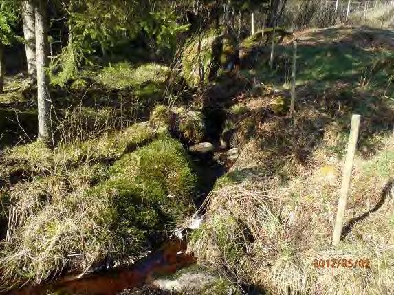 Beskrivning av inventerade delsträckor biflöden Lokalnamn: Biflöde 1 Naturvärdesbedömning: 3 Naturvärde lokal värdefull natur Musselarter: Inga musslor Åtgärdsförslag: Skyddas mot framtida dikning