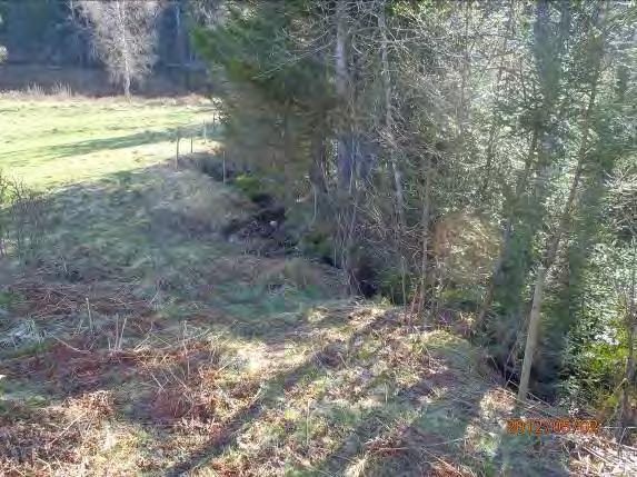 Inventeringsdatum: 2012-05-02 Koordinater: 6353094:1323535 Längd: 100 m Medelbredd: 0,7 m Medeldjup: 0,1 Undersökt område: Från utflödet i Högvadsån till 100 m uppströms Omgivning: Blandskog 3,