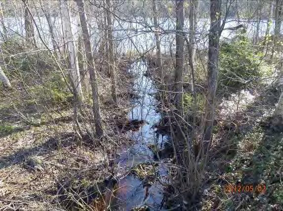 Lokalnamn: Biflöde 2 Naturvärdesbedömning: 4 lägre värde Musselarter: Inga musslor Åtgärdsförslag: Bäcken skyddas mot framtida dikning. Om vägen görs om bör större halvtrumma ersätta nuvarande trumma.