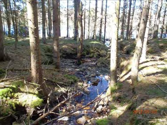 Övriga arter vid inventering: Nej Övrigt: En mycket kort och mycket fin liten bäck som faller brant från berget i en mörk skog.
