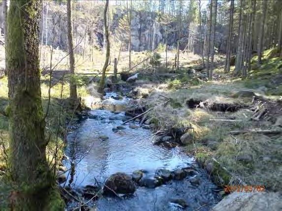 Lokalnamn: Biflöde 6, Lilla Nabbasjöbäcken Naturvärdesbedömning: 3-4 naturvärde