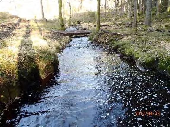 Omgivning: Höger sida öppen mark. Vänster sida granskog.