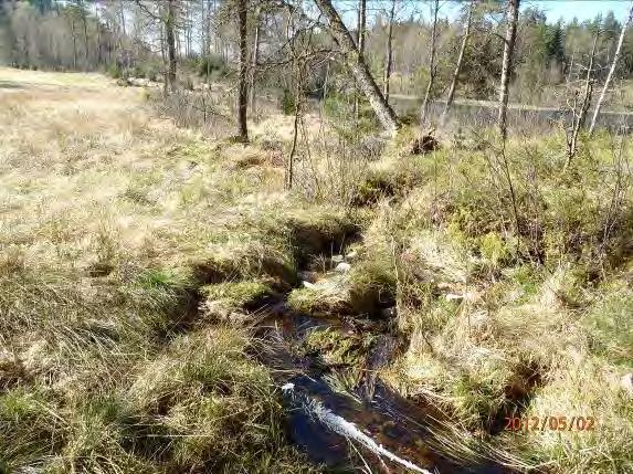 Övrigt: Liten klarvattenbäck, tidigare dikad, och troligen för liten för öring. Ovanför sträckan kommer bäcken från mossmark och planterad tät granskog.
