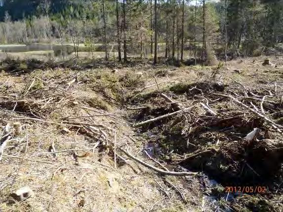 Lokalnamn: Biflöde 8 Naturvärdesbedömning: 3, Naturvärde Musselarter: Inga musslor hittades. Åtgärdsförslag: Den kvarvarande skogen kring bäcken ut till Högvadsån skyddas mot avverkning.
