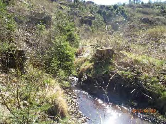 Inventeringsdatum: 2012-05-02 Koordinater: 6355933:1323989 Längd: 100 m Medelbredd: 1,5 m Medeldjup: 0,2 Undersökt område: Från utflödet i Högvadsån till ovan åkerkrök.