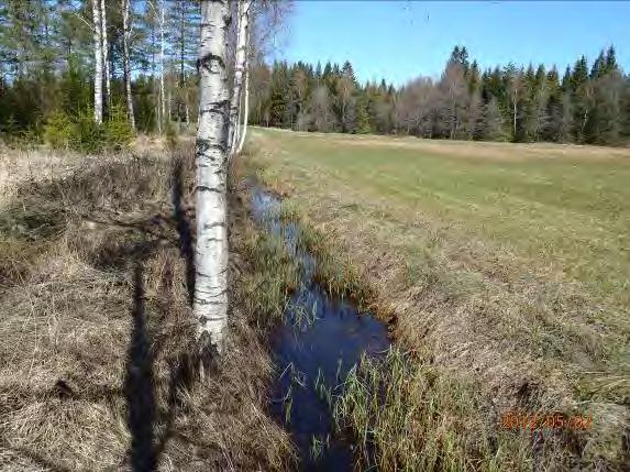 Lokalnamn: Biflöde 10 Naturvärdesbedömning: 4 Lägre värde Musselarter: Inga musslor hittades. Åtgärdsförslag: Hindra framtida dikning av bäckens närområde och undvik avverkning av skogsområdet.