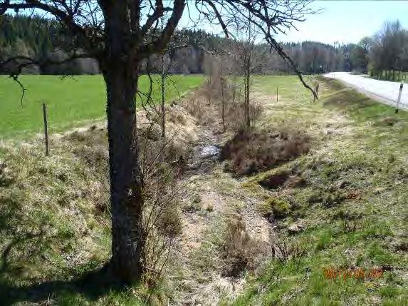 Inventeringsdatum: 2012-05-02 Koordinater: 6356236:1324048 Längd: 50 m Medelbredd: 0,5 m Medeldjup: 0,05 m Undersökt område: Från utflödet i Högvadsån till myren.
