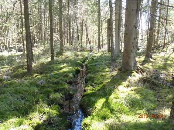 Medeldjup: 0,1 Undersökt område: Från utflödet i Högvadsån till bäckdelning Boråsvägen