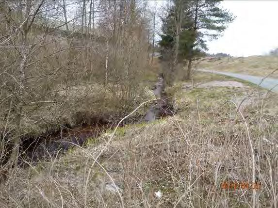 När Boråsvägen görs om bör man byta ut nuvarande trummor till en större halvtrumma med utterpassage så att fisk och utter kan få fripassage uppströms.