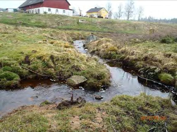 Vänstersida Blandskog. Närområde: Högersida betesmark. Vänstersida avverkad lövskog.