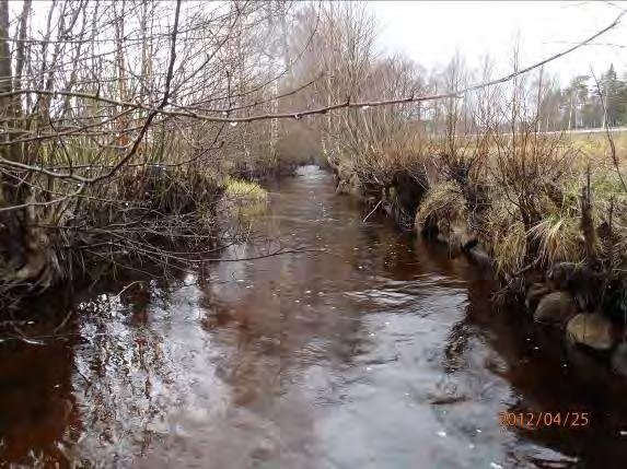 Lokalnamn: Biflöde 14 1, Mjöaån Ned Boråsvägen Naturvärdesbedömning: 3 2, höga naturvärden Musselarter: Inga musslor hittades Åtgärdsförslag: Blocken på bäckfårans sidor läggs tillbaka i vattendraget