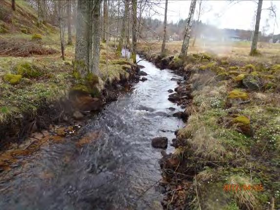 Lokalnamn: Biflöde 14 2, upp Boråsvägen Naturvärdesbedömning: 3-2 höga naturvärden Musselarter: Inga musslor hittades Åtgärdsförslag: Sträckan är lätt att restaurera och lättåtkomlig för att lägga ut