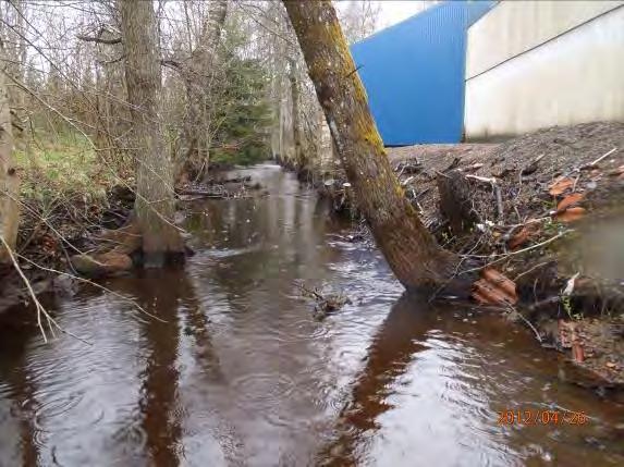 Närområde: Högersida blandskog, längst ned på sträckan passerar landsvägen nära vattendraget.