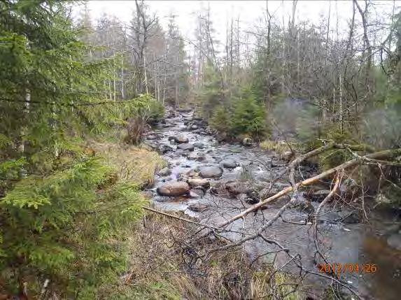 Nedströms i vattendraget i Möbäck finns en damm som utgör definitivt hinder. Sträckorna undersöktes 2011 av Per Ingvarsson.