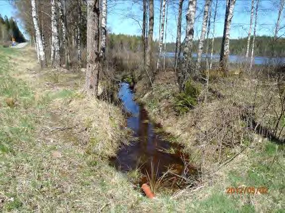Undersökt område: Från utflödet i Stora hallongen till Boråsvägen Omgivning: Lövskog, väg Närområde: Lövskog, öppenmark, väg Bottensubstrat: Sediment, järnockra Bäckbiotop: Ingen öring biotop Övriga