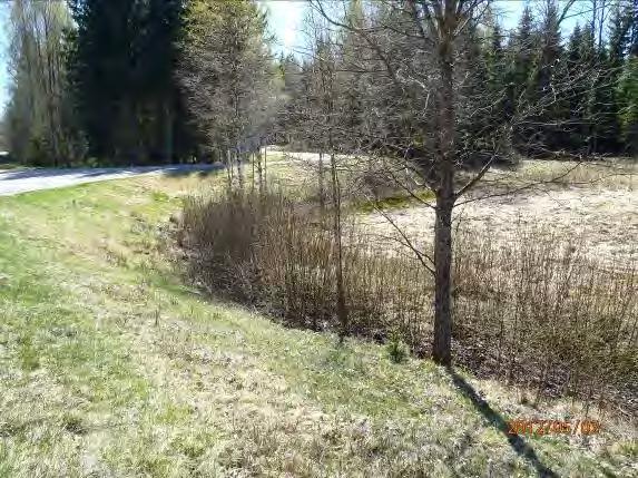 ut i Stora Hallongen. Lokalnamn: Biflöde 17, Draglycke Naturvärdesbedömning: 3 naturvärde 4 lägre värde Musselarter: Inga musslor hittades Åtgärdsförslag: Den nedre biten restaureras.