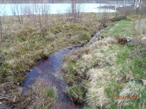 Lokalnamn: Biflöde 20, Storemossen Naturvärdesbedömning: 3, Naturvärde lokalt värdefull miljö. Musselarter: Inga musslor hittades Åtgärdsförslag: Bäckens närhet skyddas mot avverkning och dikning.