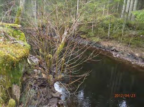 Beskrivning av inventerade delsträckor Högvadsån Lokalnamn: Sträcka 1, Utflödet ur Kärringahöljen. Naturvärdesbedömning: Klass 3 naturvärde lokalt värdefull miljö. Musselarter: Inga musslor.