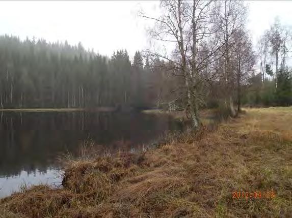 Lokalnamn: Sträcka 2, Kärringahöljen. Naturvärdesbedömning: klass 3 naturvärde lokalt värdefull miljö. Musselarter: Inga musslor. Åtgärdsförslag: Skogen på högersida (öster om?