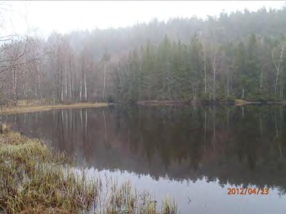 Inventeringsdatum: 2012-04-23 Koordinater: 6353032:1323563 6353421:1323630 Längd: 410 m Undersökt område: Punktvis ut med hela strandzonen ut till 1m djup. Strand/sjömiljö: Sjöbiotop.